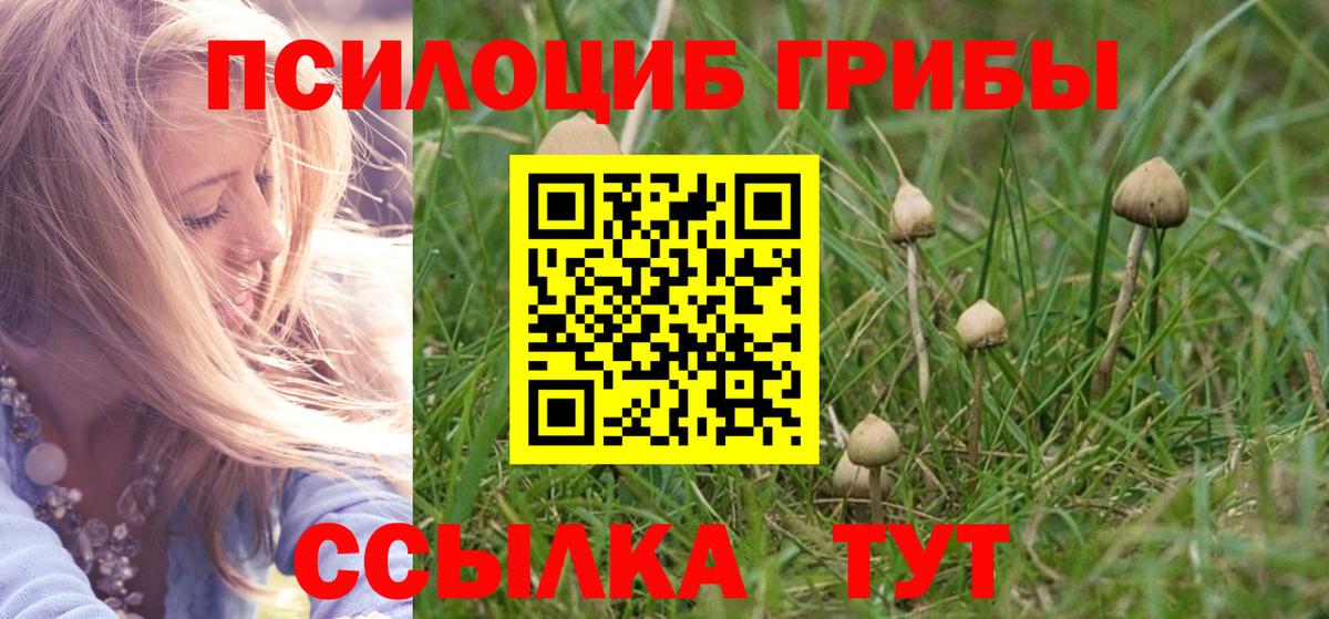 Хабаровск  Галлюциногенные грибы Psilocybine cubensis  Вход с VPN 