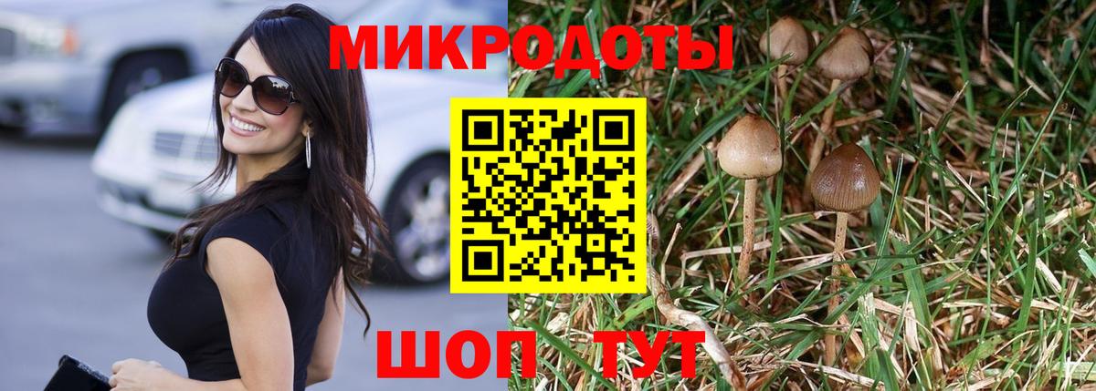 Галлюциногенные грибы Psilocybine cubensis Хабаровск